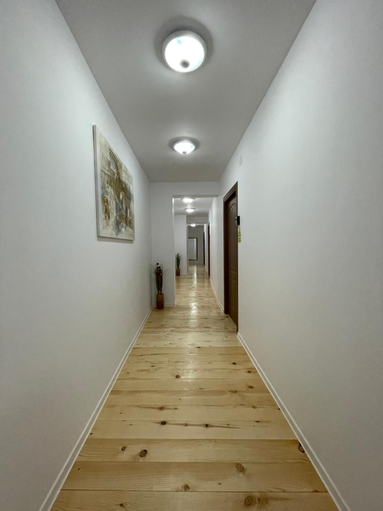 Schei Central Studios In The Heart Of Брашов Екстериор снимка